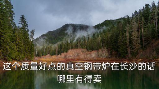 這個(gè)質(zhì)量好點(diǎn)的真空鋼帶爐在長(zhǎng)沙的話哪里有得賣