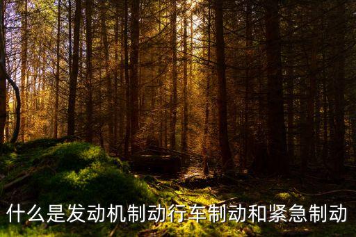 發(fā)動(dòng)機(jī)制動(dòng)是什么意思，什么叫發(fā)動(dòng)機(jī)制動(dòng)