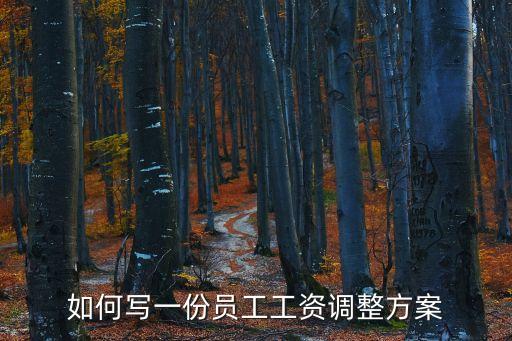 如何寫一份員工工資調(diào)整方案