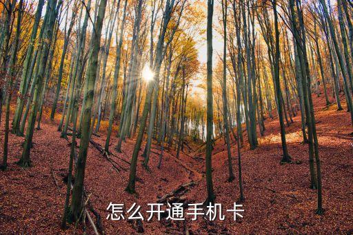 怎么辦理電話卡，手機(jī)卡 怎樣辦