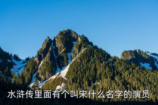 水滸傳里面有個叫宋什么名字的演員