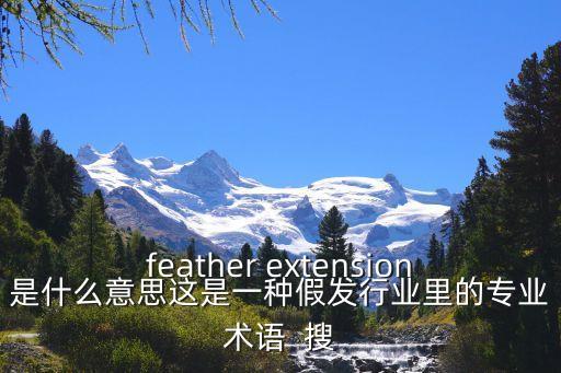 羽毛接發(fā)后的慘狀，feather extension是什么意思這是一種假發(fā)行業(yè)里的專(zhuān)業(yè)術(shù)語(yǔ)  搜