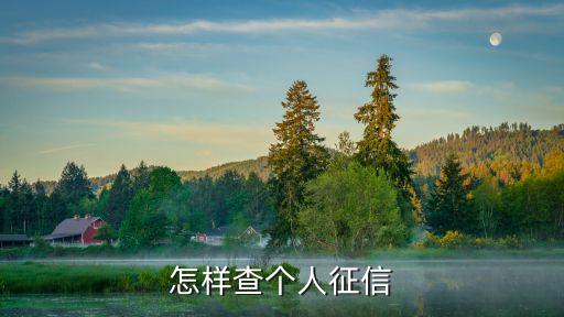 怎樣查個人征信，個人征信怎么查