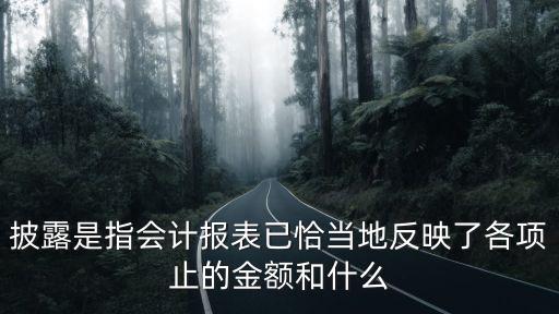 披露是指會計報表已恰當(dāng)?shù)胤从沉烁黜椫沟慕痤~和什么