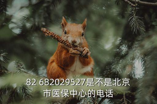 82 682029527是不是北京市醫(yī)保中心的電話