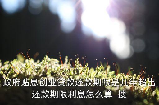 政府貼息貸款，政府貼息貸款是什么意思