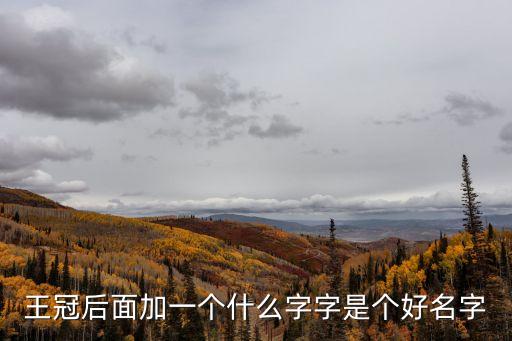王冠后面加一個(gè)什么字字是個(gè)好名字
