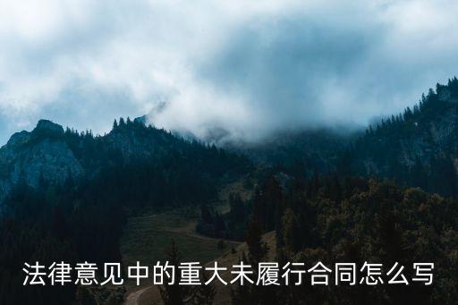 重大合同，何為正在履行的重大合同