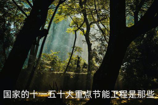 節(jié)能工程，建筑節(jié)能工程是單位建筑工程的一個(gè)分布工程可以劃分為哪些分項(xiàng)工