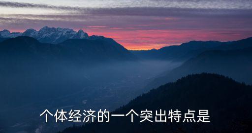 個體經(jīng)濟(jì)，什么叫個體經(jīng)濟(jì)
