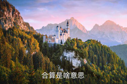 合算是啥意思