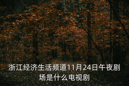 浙江經(jīng)濟(jì)生活頻道11月24日午夜劇場(chǎng)是什么電視劇