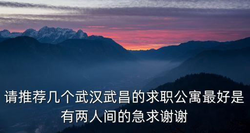 請(qǐng)推薦幾個(gè)武漢武昌的求職公寓最好是有兩人間的急求謝謝