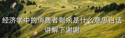 經濟學中的消費者剩余是什么意思白話講解下謝謝