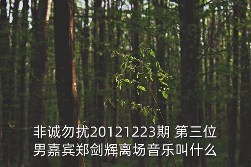 非誠(chéng)勿擾20121223期 第三位男嘉賓鄭劍輝離場(chǎng)音樂(lè)叫什么