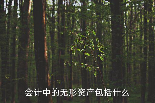 會計(jì)中的無形資產(chǎn)包括什么
