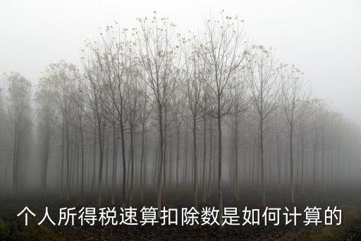 個(gè)人所得稅速算，個(gè)人所得稅中什么叫速算扣除數(shù)