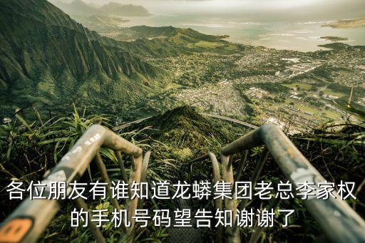 各位朋友有誰知道龍蟒集團老總李家權(quán)的手機號碼望告知謝謝了
