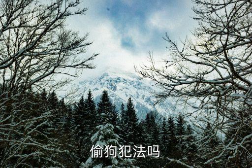 偷狗，偷狗是否犯法