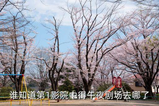 午夜劇場黃，南寧哪個電影院有午夜場電影