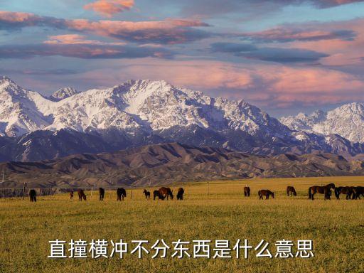 直撞橫沖不分東西是什么意思