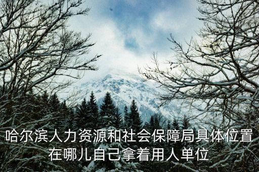 哈爾濱人力資源和社會保障局具體位置在哪兒自己拿著用人單位