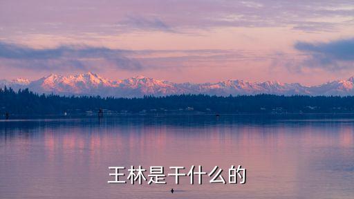 王林是干什么的