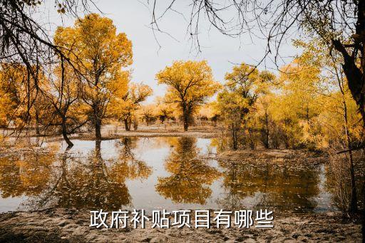 補(bǔ)貼政策，政府補(bǔ)貼項(xiàng)目有哪些
