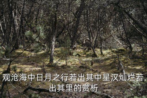 觀滄海中日月之行若出其中星漢燦爛若出其里的賞析