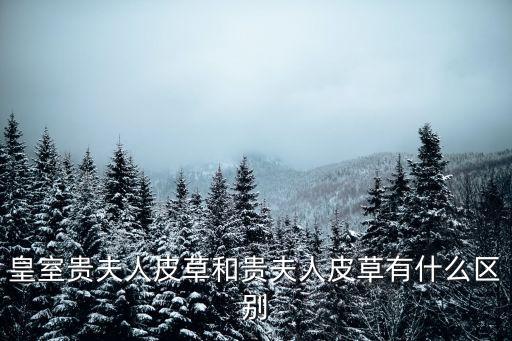 皇室貴夫人皮草和貴夫人皮草有什么區(qū)別