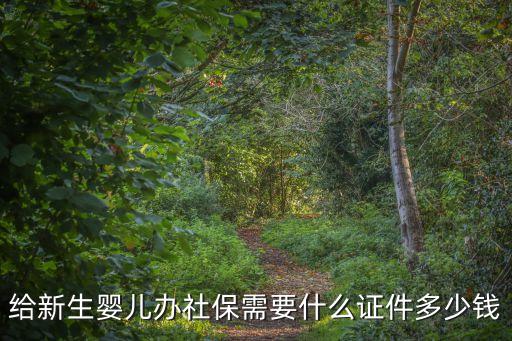 給新生嬰兒辦社保需要什么證件多少錢