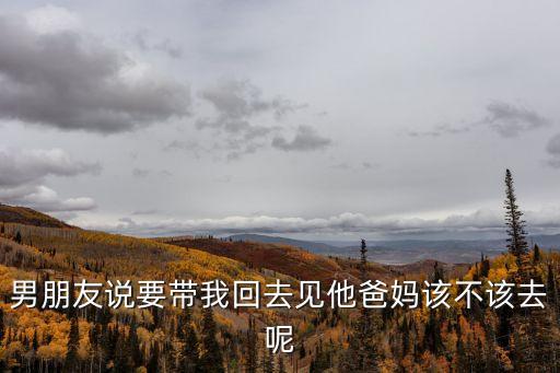 帶我回去，帶我回去的介紹