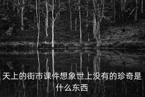 天上的街市課件想象世上沒有的珍奇是什么東西