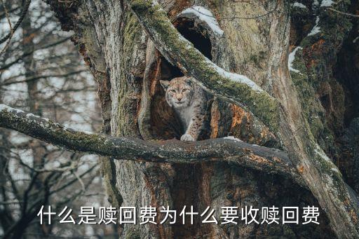 贖回費，什么是贖回費為什么要收贖回費