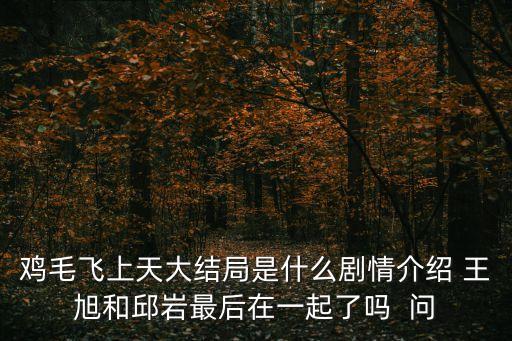 邱巖，雞毛飛上天大結(jié)局是什么劇情介紹 王旭和邱巖最后在一起了嗎  問