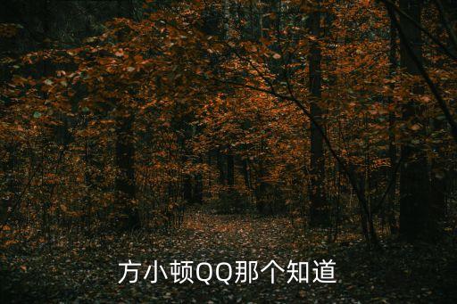 方小頓QQ那個知道