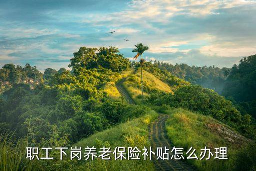 職工下崗養(yǎng)老保險(xiǎn)補(bǔ)貼怎么辦理