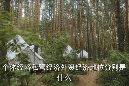 外資經(jīng)濟(jì)，外資經(jīng)濟(jì)是指