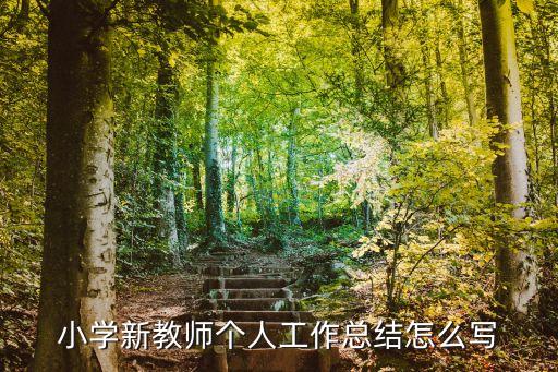 小學(xué)新教師個(gè)人工作總結(jié)怎么寫(xiě)