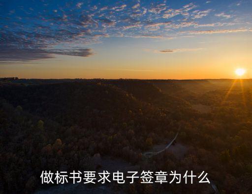 電子簽章是什么，跨行轉(zhuǎn)帳電子簽章是甚么