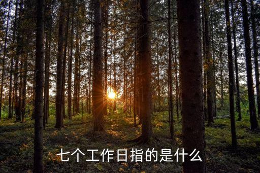 七個工作日指的是什么