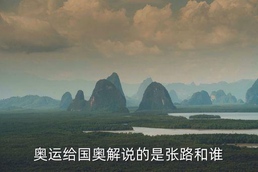 奧運給國奧解說的是張路和誰