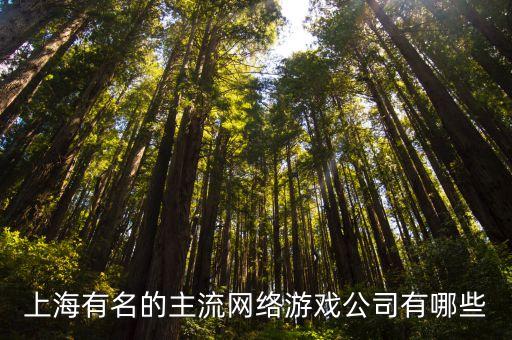 上海有名的主流網(wǎng)絡游戲公司有哪些