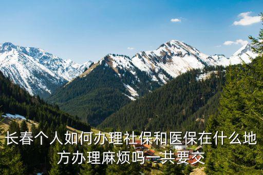 長春市社保，長春市個人如何交納社會保險