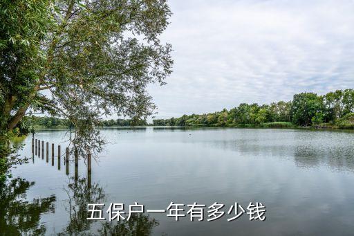 五保戶(hù)一年多少錢(qián)，農(nóng)村五保戶(hù)一年多少錢(qián)