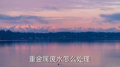 重金屬廢水處理，有哪些方法處理廢水中的重金屬
