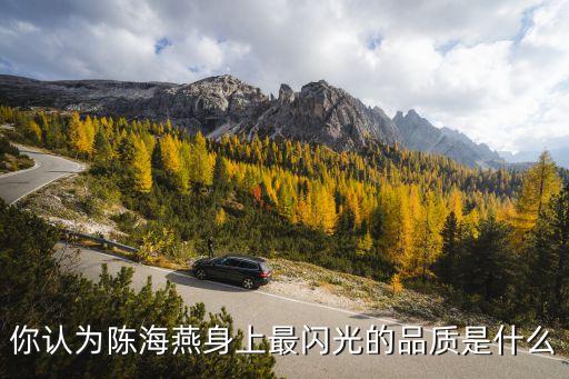你認為陳海燕身上最閃光的品質(zhì)是什么