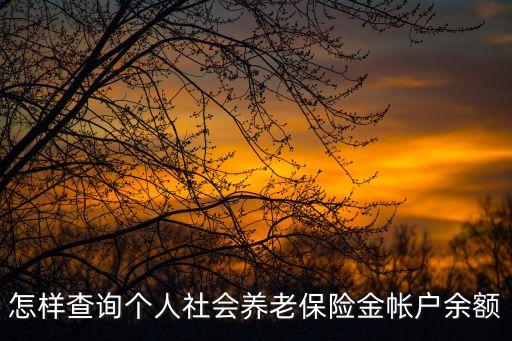 怎樣查詢個人社會養(yǎng)老保險金帳戶余額