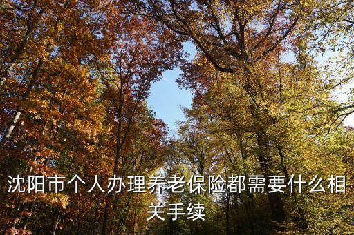 沈陽市個人辦理養(yǎng)老保險都需要什么相關(guān)手續(xù)