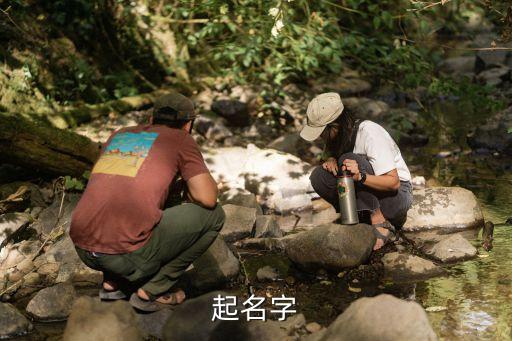 周文海，起名字